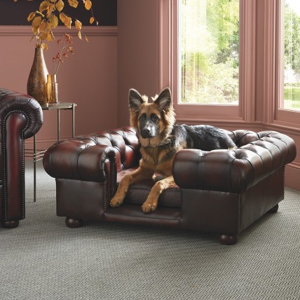 Lincoln Large Dog Bed