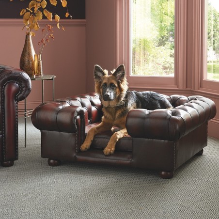 Lincoln Large Dog Bed - Dog Beds from Sofas by Saxon UK