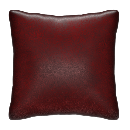 Scatter Cushion