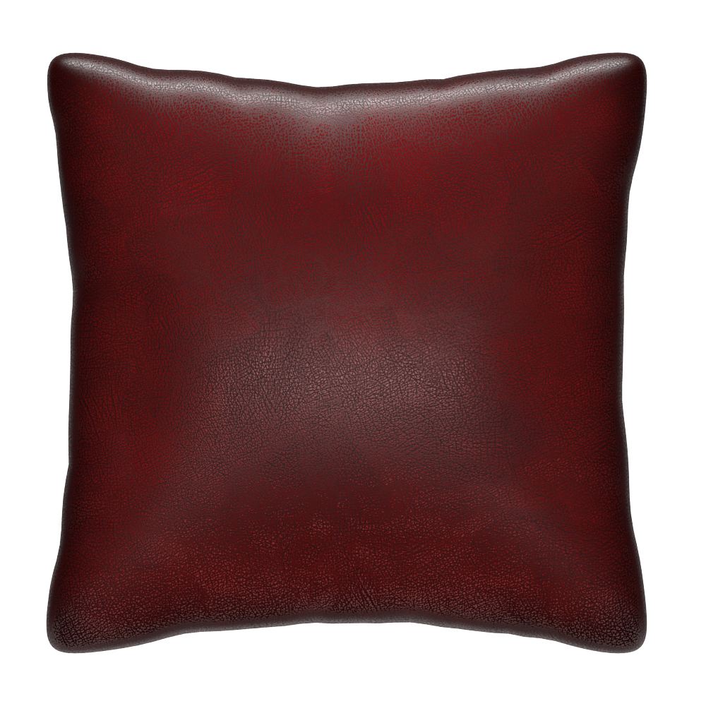 Scatter Cushion