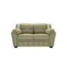 Ashford 2 Seater Sofa Hemmingway Sage Leaf - In Stock from Sofas by Saxon UK