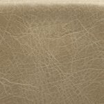 Old English Parchment